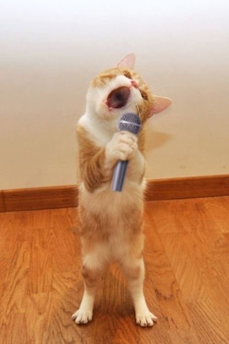 kang_inbae's tweet photo. ㅋㅋㅋㅋㅋ 이거 강태현 https://t.co/2FoiiIP470