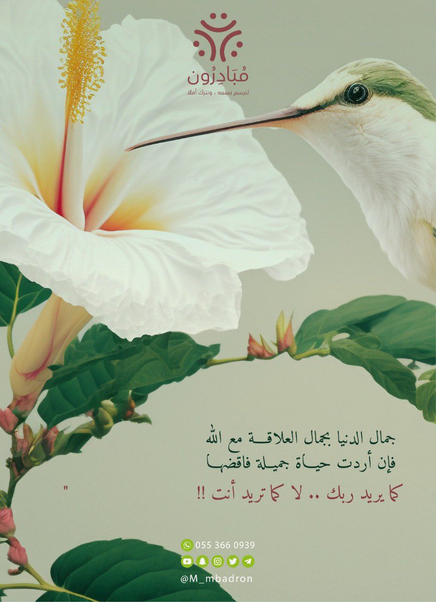 M_mbadron's tweet photo. اذا أردتَ حياة جميلة ..
 فاقضها كما يريد ربك 🤍🍃

#مبادرون
#محتوى_مبادرون https://t.co/dCorhI4V2w