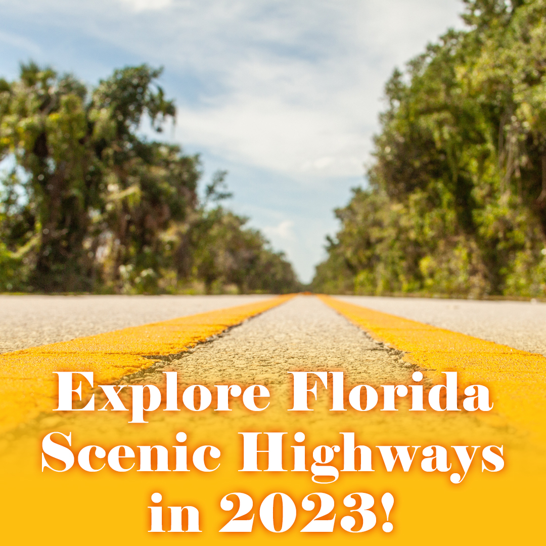 FLscenichighway's tweet image. Check out the FSHP interactive map to plan a staycation if you live here, or check your proximity to byways if you’re visiting the Sunshine State!

👉 bit.ly/FSHPmap
#NewYearsDay ⭐ #RoadTrip 🌴 #InteractiveMap