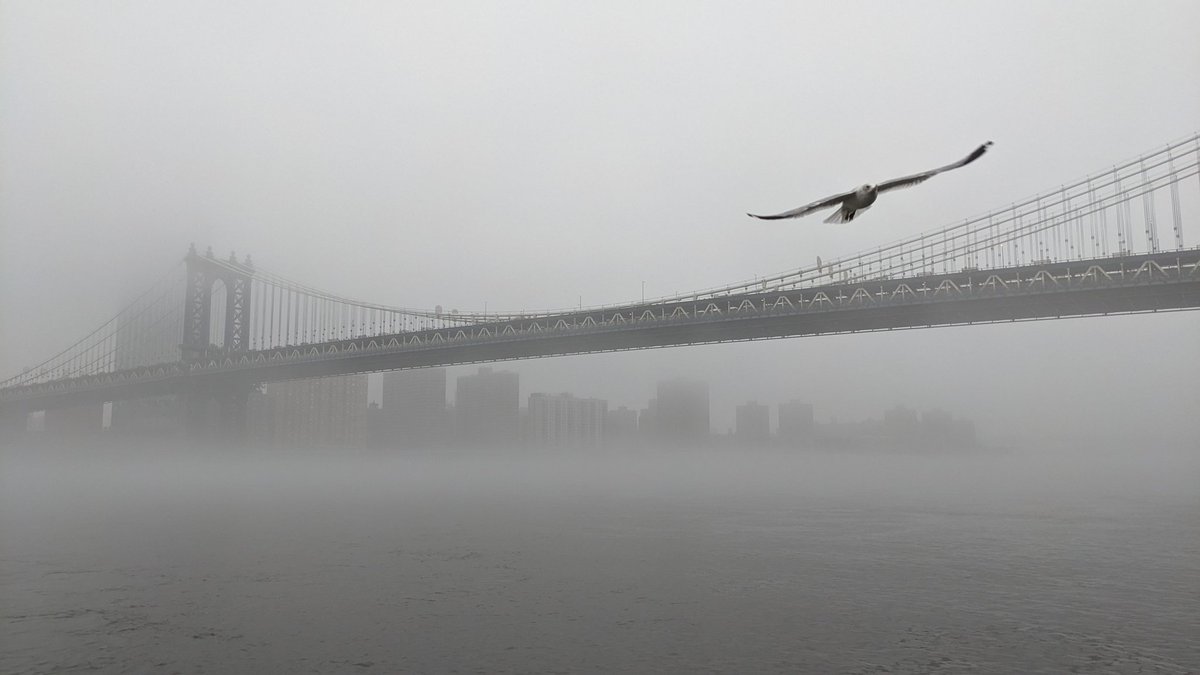 limeduck (@limeduck) on Twitter photo 