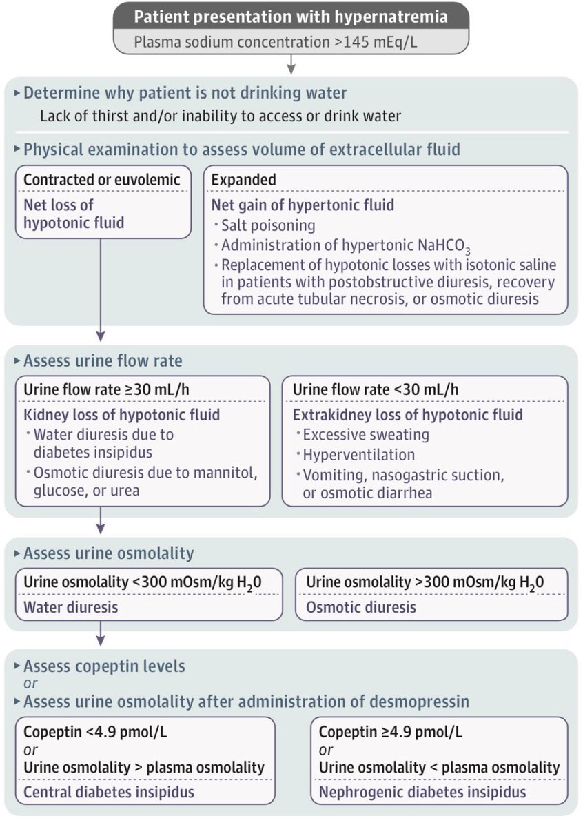 ApoThera's tweet photo. Hypernatremia 
https://t.co/JEKGXsjSRx 
#MedTwitter #MedEd #internalmedicine #MedStudentTwitter #medstudents #clinic #ICU #Bioinformatics #healthcare #HealthTech #technology #DiGiTALhealth #FOAMcc #Endotwitter #Cardiology #NephTwitter #medicalstudent #medicalstudents #pulmonology https://t.co/GEohyGREAn