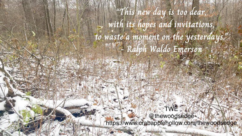 Enjoy blessings of peace and happiness in this New Year!

#goodbye2022 #HappyNewYear #2023NewYear