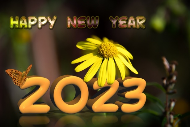 Desde #ALIPANC os deseamos un Feliz Año Nuevo cargado de bienestar y salud 🎉
