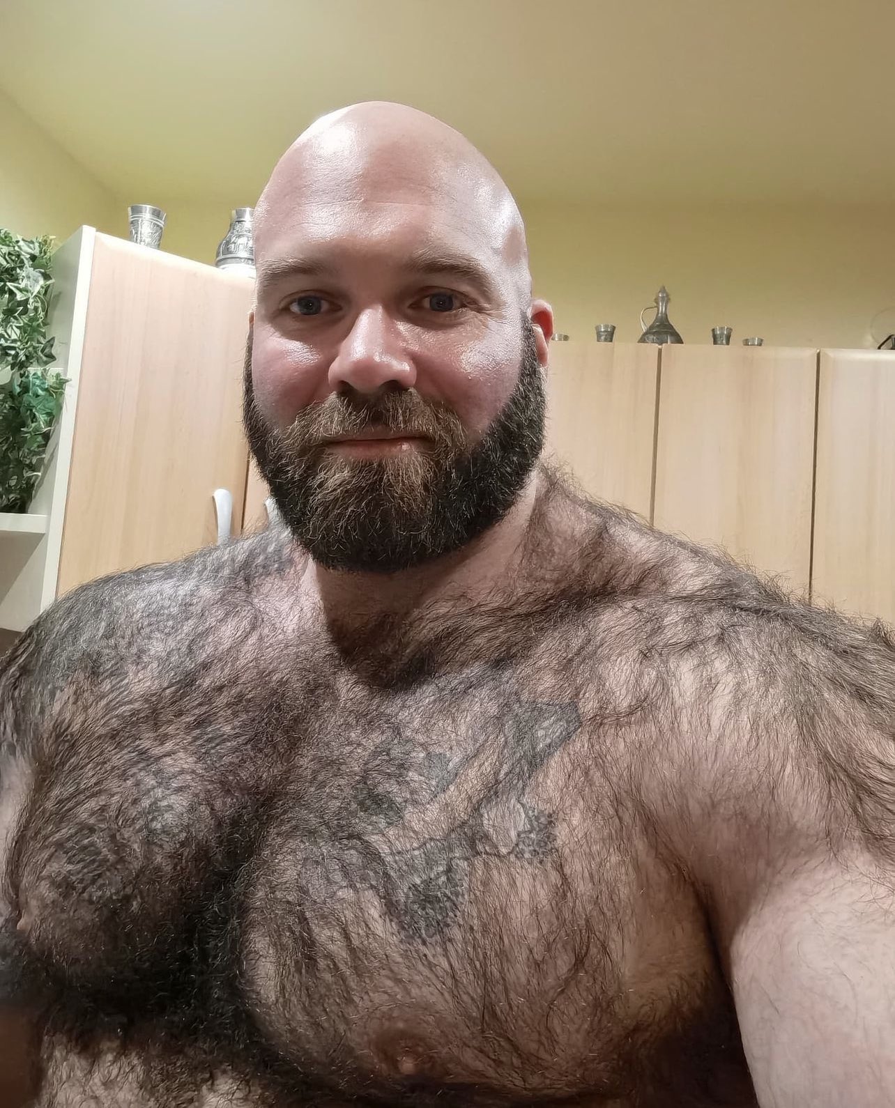 TW Pornstars - Gschiel Gerald The Human Bear. Twitter. ⬆️there you see an extremely  hairy, muscular man naked. 6:38 PM - 1 Jan 2023