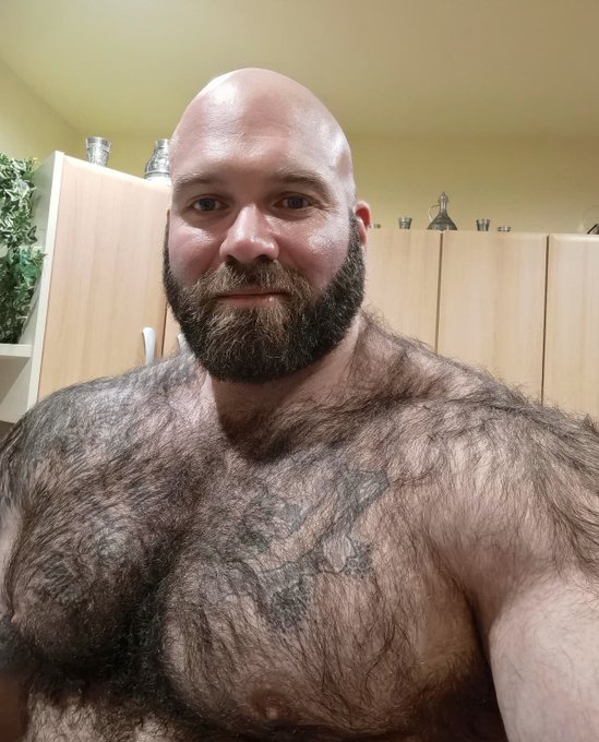 muscular_bear