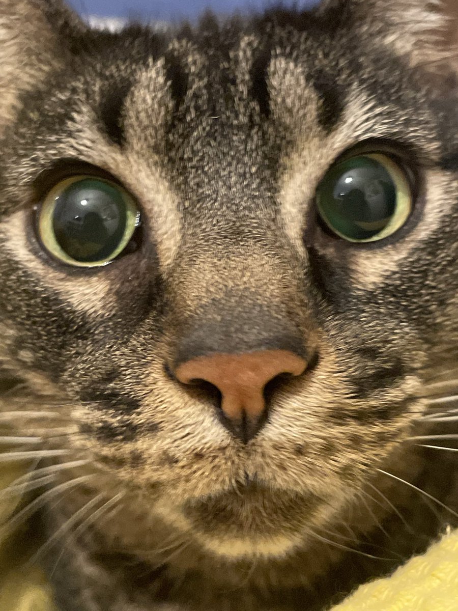 nor‏‏‎‏‏‎‏‏‎‏‏‎ ‎‏‏‎‏‏‎‏‏‎‏‏‎‏‏‎☆ ͡ (@stfunor) on Twitter photo 