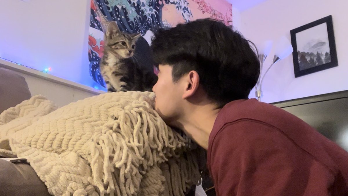 jaabves's tweet photo. มาแฮปปี้นิวเยียร์กับน้องแมวคับบบ 🎊 ขอให้เป็นปีที่ดีสำหรับทุกๆคนนะคับ https://t.co/vUGaOjl7q7