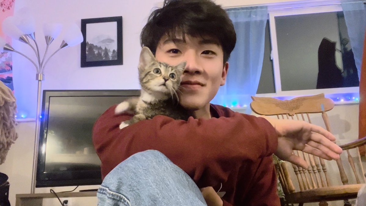 jaabves's tweet photo. มาแฮปปี้นิวเยียร์กับน้องแมวคับบบ 🎊 ขอให้เป็นปีที่ดีสำหรับทุกๆคนนะคับ https://t.co/vUGaOjl7q7