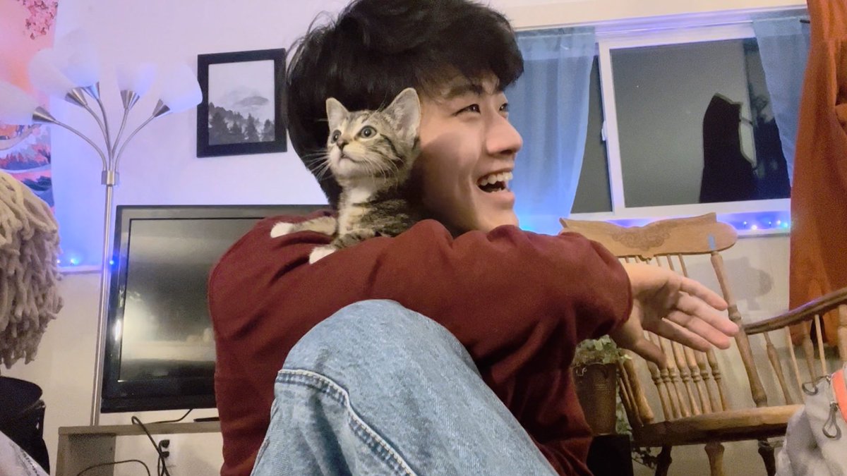 jaabves's tweet photo. มาแฮปปี้นิวเยียร์กับน้องแมวคับบบ 🎊 ขอให้เป็นปีที่ดีสำหรับทุกๆคนนะคับ https://t.co/vUGaOjl7q7