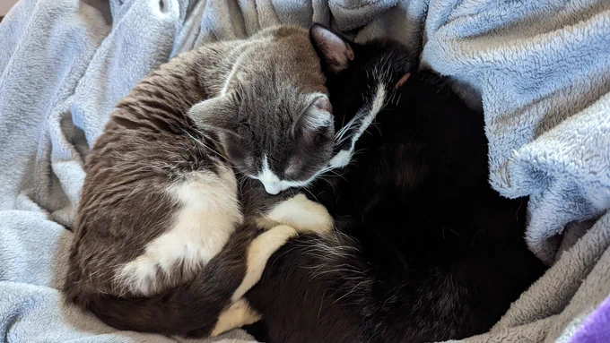 I am blessed. 
