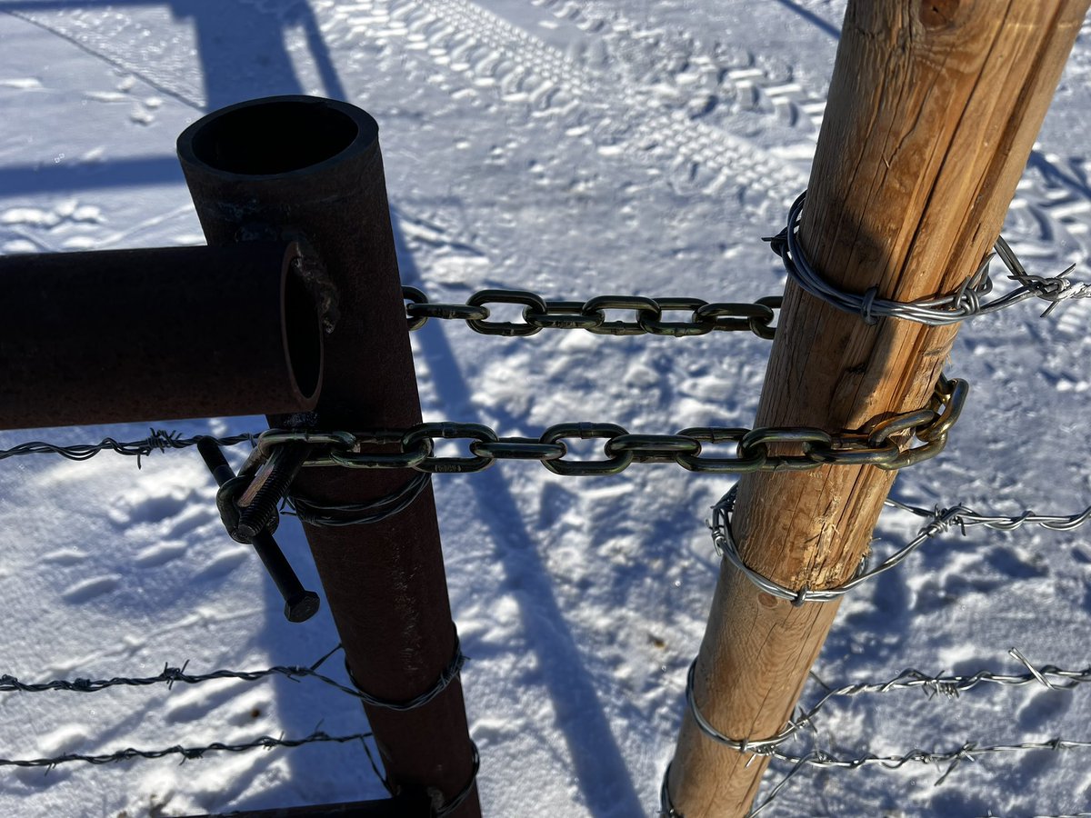 Patrick Kunz tweet media