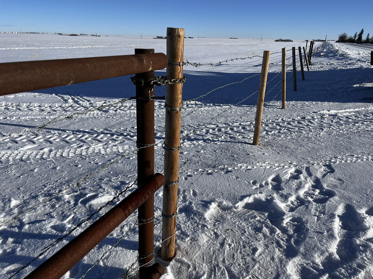 Patrick Kunz tweet media