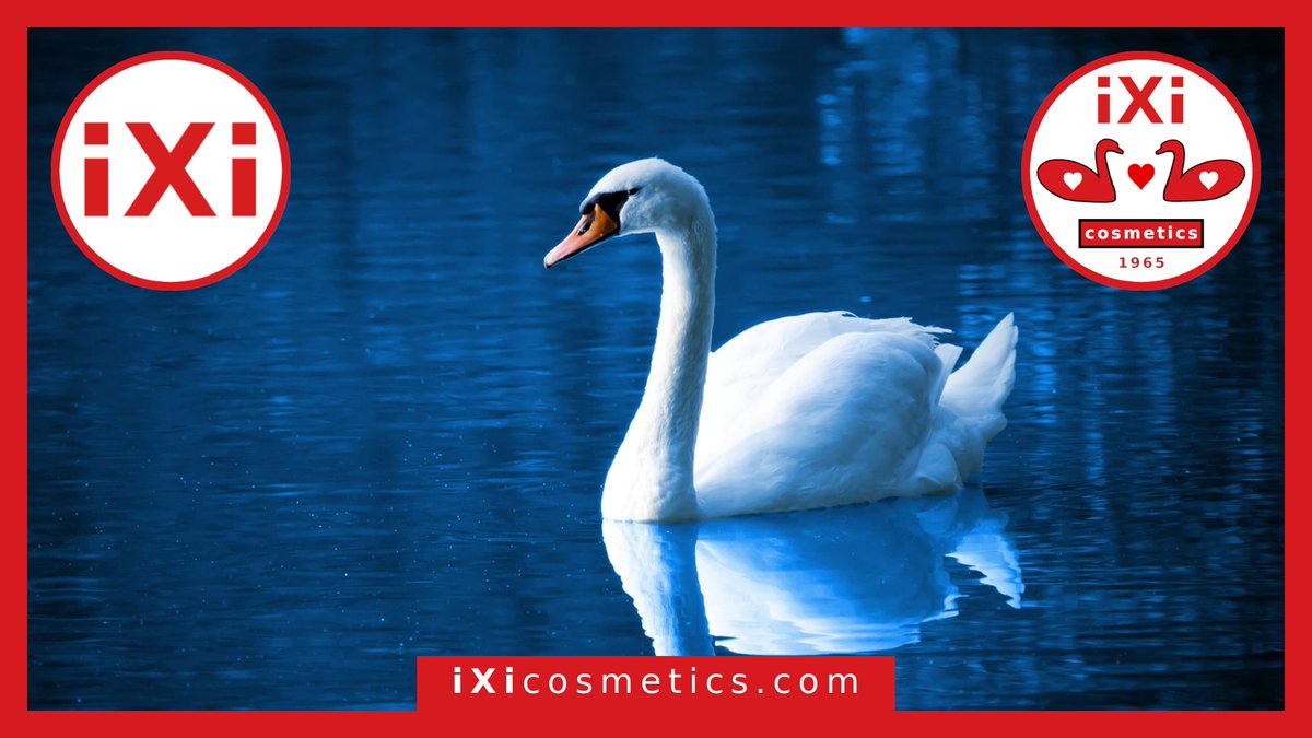 ixicosmetics's tweet photo. Swans are grouped with the closely related geese in the subfamily Anserinae
#ixi #ixicosmetics #ixi1965 #swan #cosmetics #geese #ducks #water #sun #ecology #live #love #life https://t.co/jw6at99u5A
