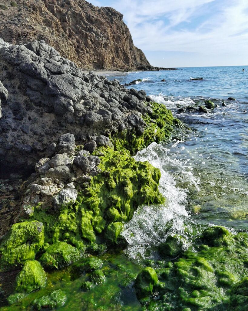 #playadelmónsul #cabodegata #almería #igersalmería #paraísonatural #playa #beach #discover_almeria #paradise #discover_cabodegata #spain_all_pics #all_shots #spain_gallery #spain #españa @cabodegatanjar #naturaleza #nature vadefotos.es