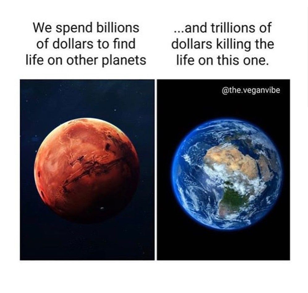 TechCentric_'s tweet photo. We spend billions of dollars to find life on other planets.. and trillions of dollars killing the life on this one.

We have exploited our only home to the maximum extent without reprimand. https://t.co/HFsHFIJOfr