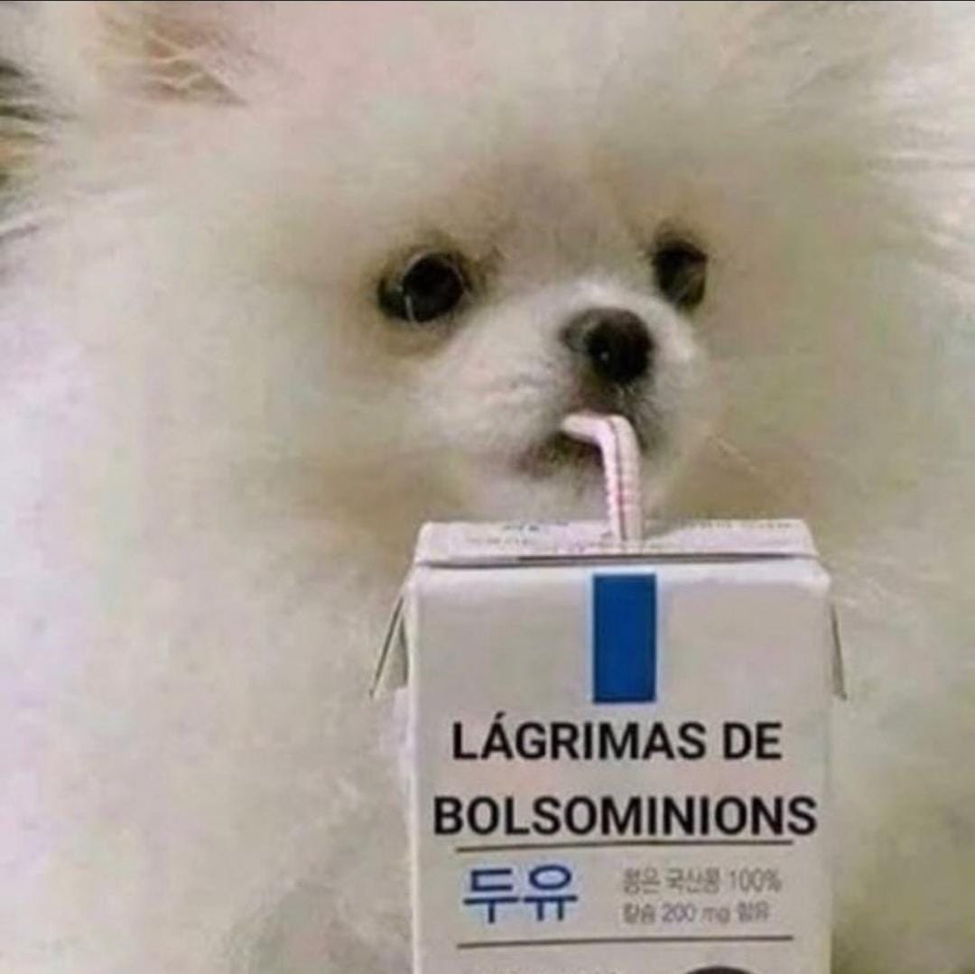 bellamribeiro's tweet photo. Que discurso maravilhoso do Lulinha que saudade que eu tava de ter esperança 🥂Agora sim seja bem vindo 2023🥹✨ https://t.co/EUWrOSrAJq