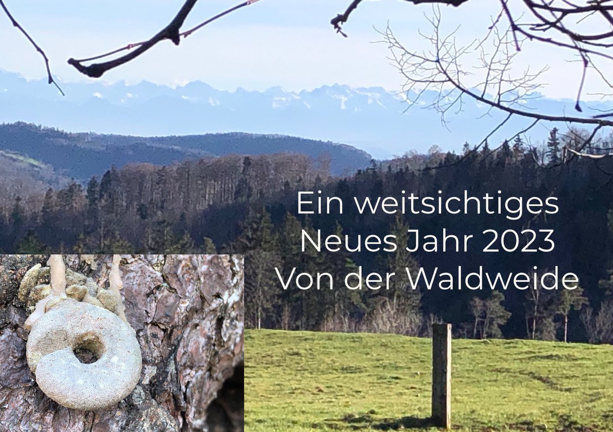 Katharina Gisin (@gisinkatharina) on Twitter photo 