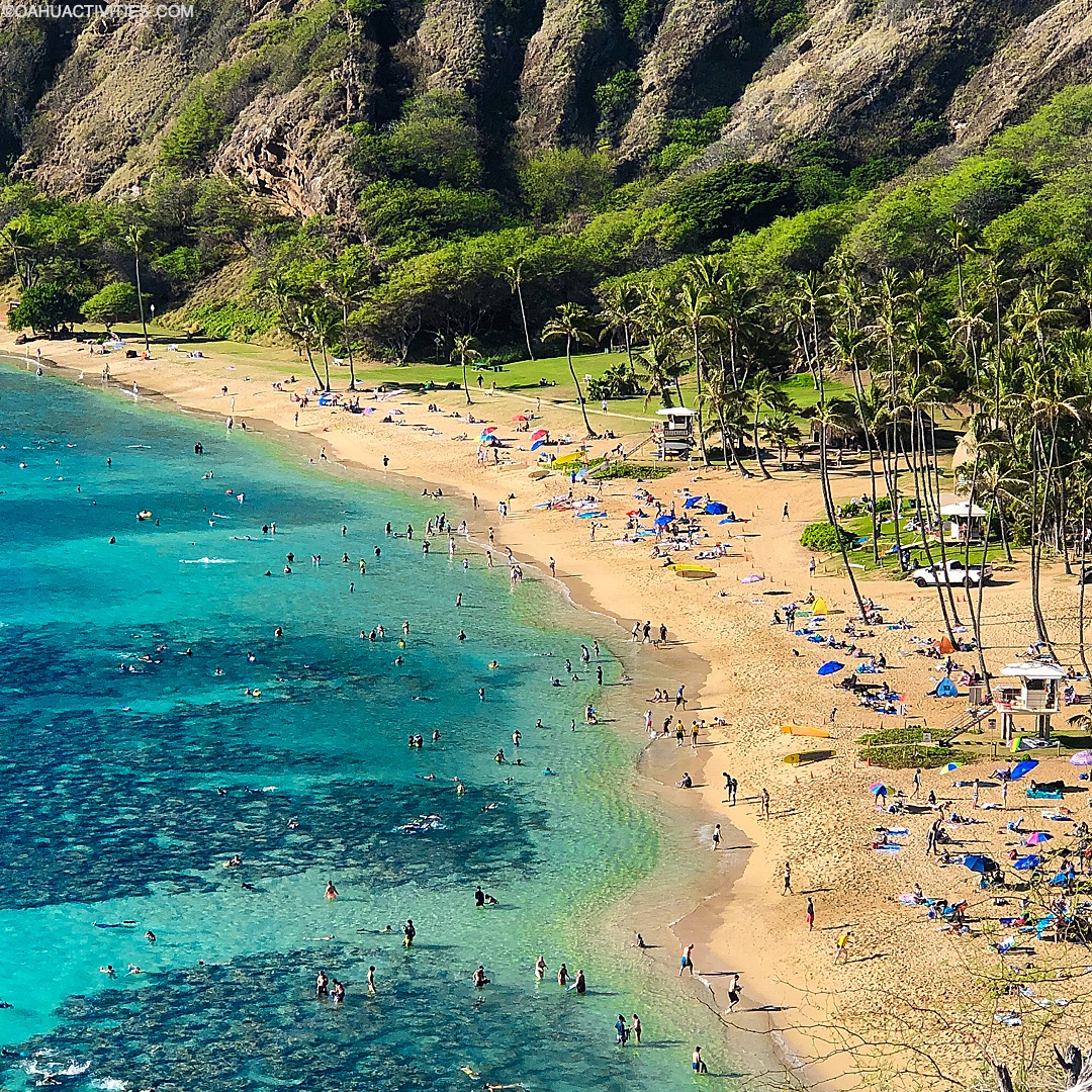 oahu tweet picture