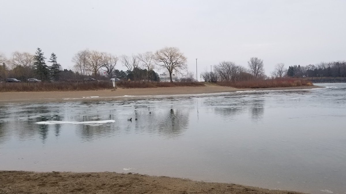 CoralReefShop's tweet image. &quot;What have I done?!?&quot; A wager lost (again). New Year&apos;s Day shenanigans in Mississauga. Stay tuned.....

(But does anyone really lose if it goes to charity? 🤔😊) #PolarBearDip #PolarBearChallenge