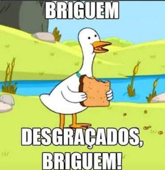 JrMuriloo's tweet photo. @BolsonaroSP @monark https://t.co/nc3AeoqXQc