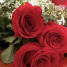 AlomranyWafa's tweet photo. #صورة_جديدة_للملف_الشخصي https://t.co/aie7wGh9kW