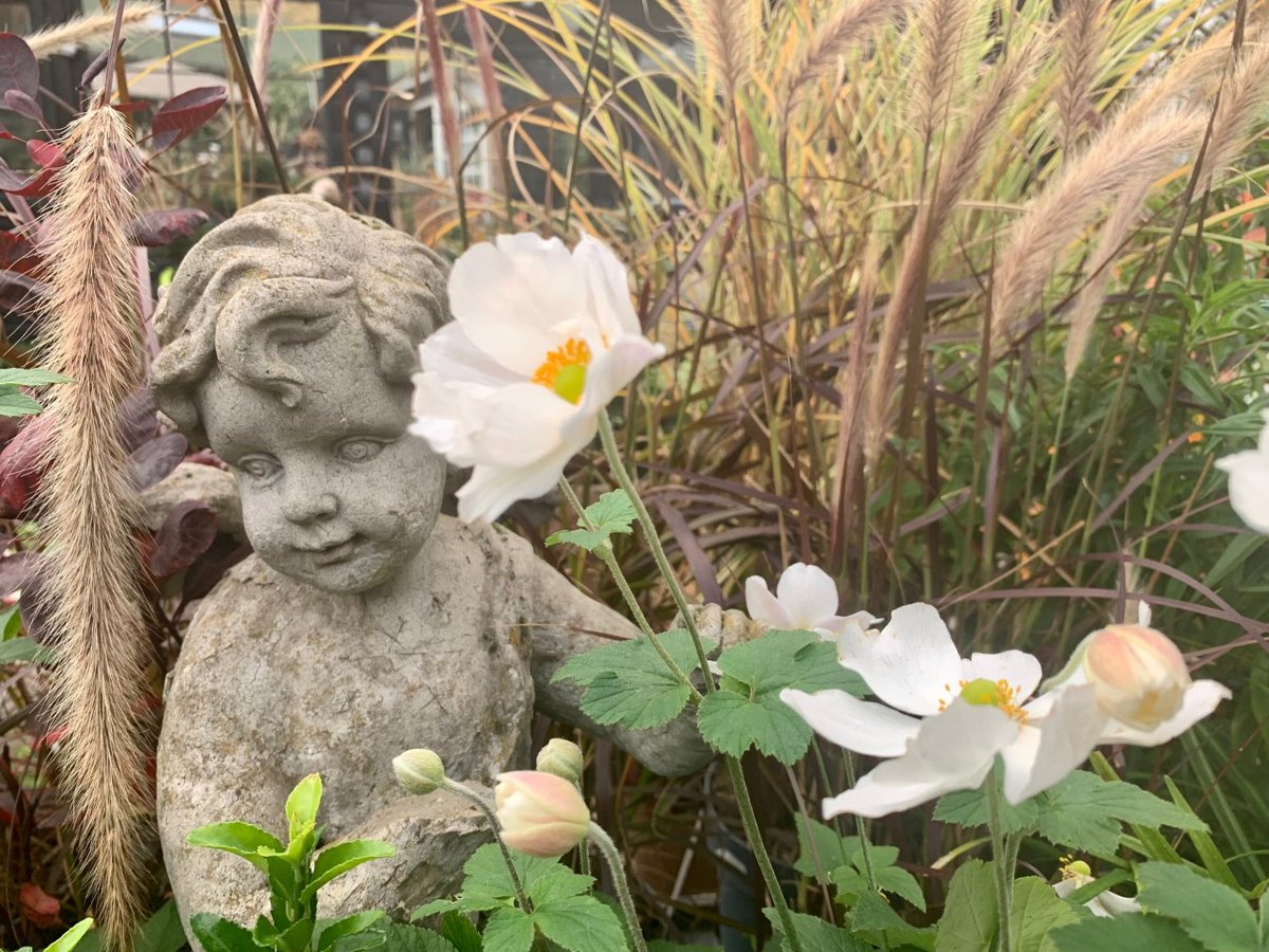 #HappyNewYear AND we reopen tomorrow! Our green gates will open at 9am with the best of seasonal garden plants &amp; specialist houseplant varieties! Our cosy #W6Cafe is open too for a special new year coffee &amp; treat! 
(Open 9am - 5pm Mon - Sat &amp; Sundays 9.30am - 5.30pm)