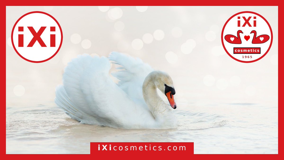 ixicosmetics's tweet photo. There is a species known as the coscoroba swan which is no longer considered one of the true swans.
#ixi #ixicosmetics #ixi1965 #swan #cosmetics #geese #ducks #water #sun #ecology #live #love #life https://t.co/kMdJN7m5p7