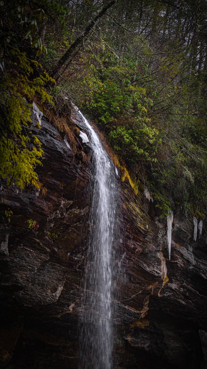 ZgPhotographyNC's tweet photo. Went and visited Bridal Veil Falls and then Pisgah National Forest’s, Looking Glass Falls, to close out my 2022 https://t.co/AJEe7RAPsp