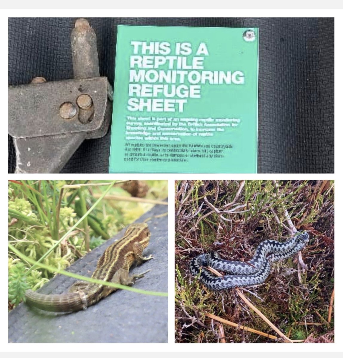 Gareth Dockerty tweet media