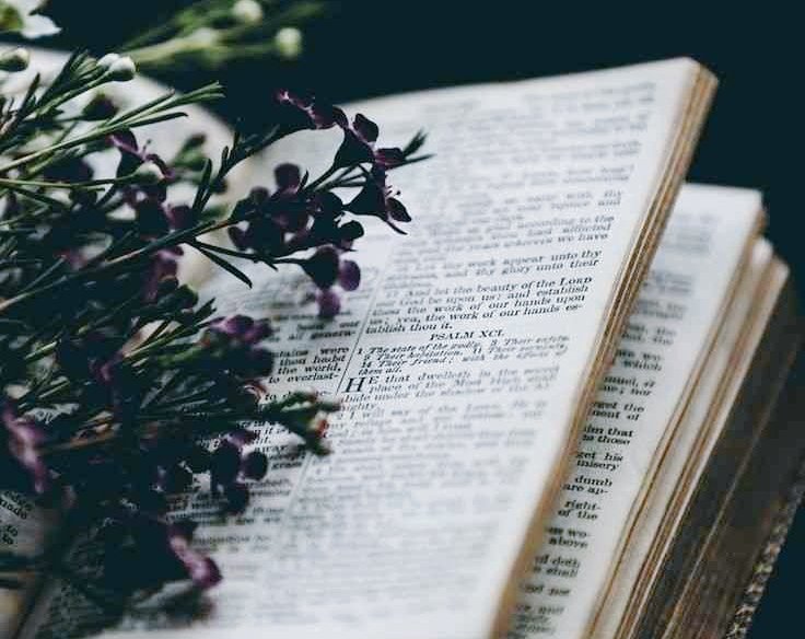 𝐓𝐚𝐫𝐚𝐡 𝐉𝐚𝐲 𝐍𝐨𝐯𝐚 tweet media