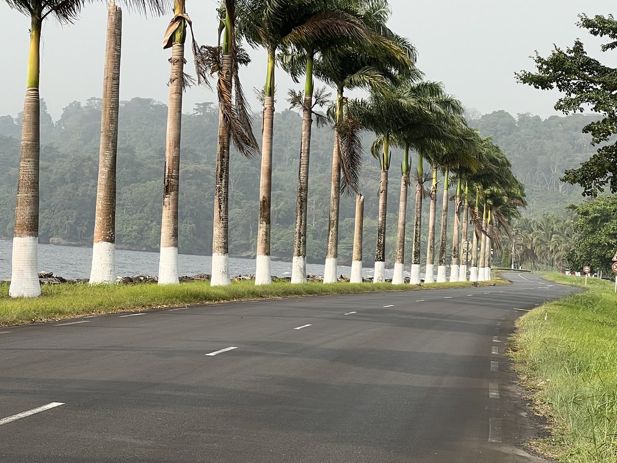 Es un nuevo ano ! Bienvenidos a Malabo, isla de Bioko. Cálido clima ecuatorial, paisaje y potencial económico explosivo. Mucho más de lo que puedas imaginar, así que no hagas de este tu próximo destino. #Tourism #SDGs  #NDC #HappyNewYear2023