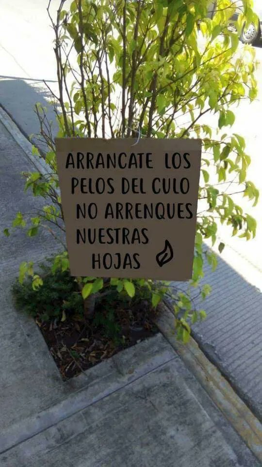 EcoInventos's tweet photo. Nunca está de más recordarlo... https://t.co/8mJsfOEPmn