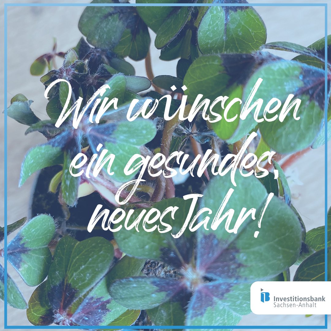 ib_lsa's tweet photo. Willkommen 2023 ☘️! Es geht mit Schwung in ein neues Jahr! Wer neue Ideen umsetzen möchte, braucht starke Partner! Wir sind auch 2023 an eurer Seite und begleiten euch bei der Umsetzung! #teamIB https://t.co/wSkzhGdABD
