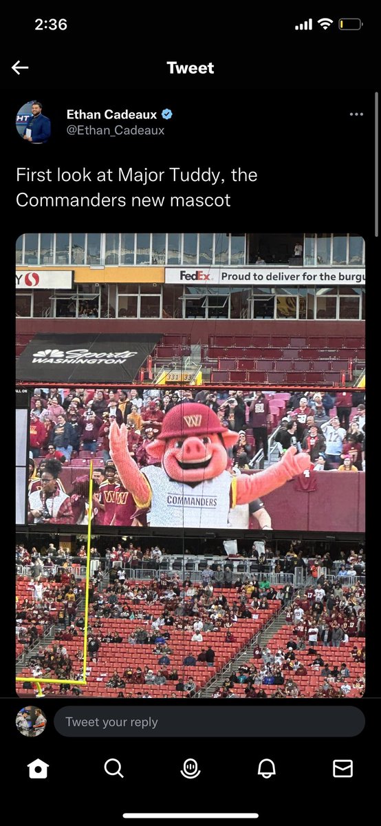 JP_Kitz27's tweet photo. Might not be a popular opinion but I love this mascot. What a choice https://t.co/udNtJOWMrk