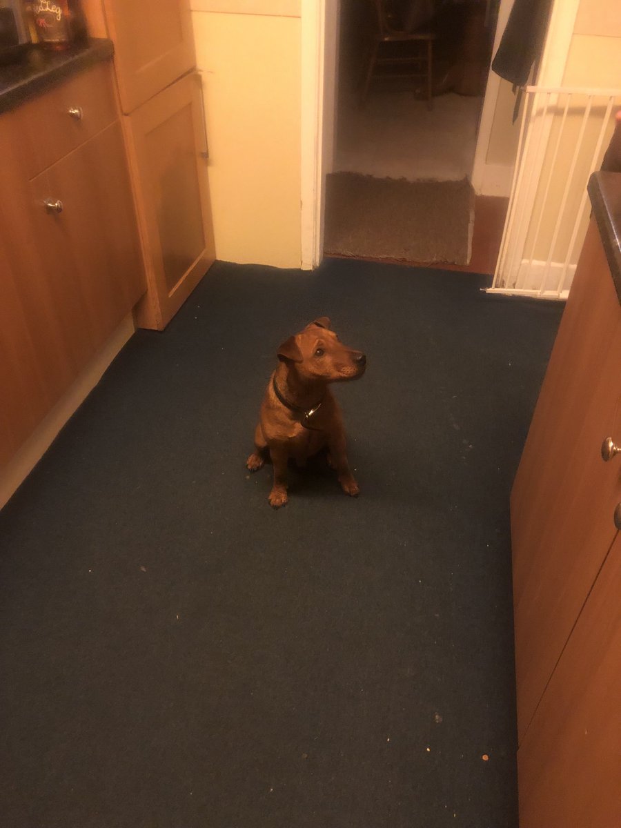 benattrill1's tweet image. ⁦@normanlakeland⁩ listening to ⁦@RadioX⁩ waiting for dinner