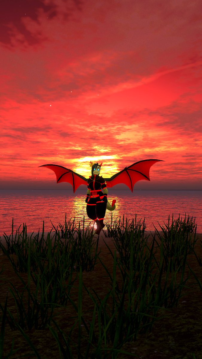 DragoraWt's tweet photo. Iβm the only real one. Cause I am A Dragoness #dragorawt #vrchatfurry #furry #vrchatfurryfandom #furryfandom #vitofox #dragorawthunder https://t.co/xoCldSaVNK
