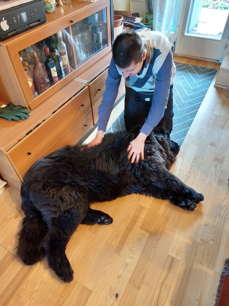 Yuriy Borysovich tweet media