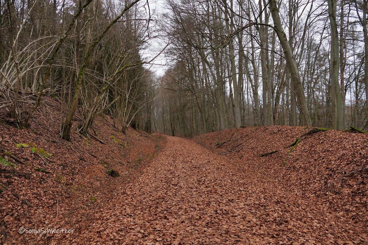 HessenSonja5767's tweet photo. Auf dem Ulmtalradweg (ehemalige Bahntrasse der Ulmtalbahn), von Leun/Biskirchen nach Greifenstein/Allendorf................ #Ulmtal #Ulmtalradweg #Fahrrad #Rad #Leun #Biskirchen #Greifenstein #Allendorf #Ausflugstipp #Ausflugsziel #LahnDillKreis #Mittelhessen #Hessen #Germany https://t.co/yXBSTYLjDy