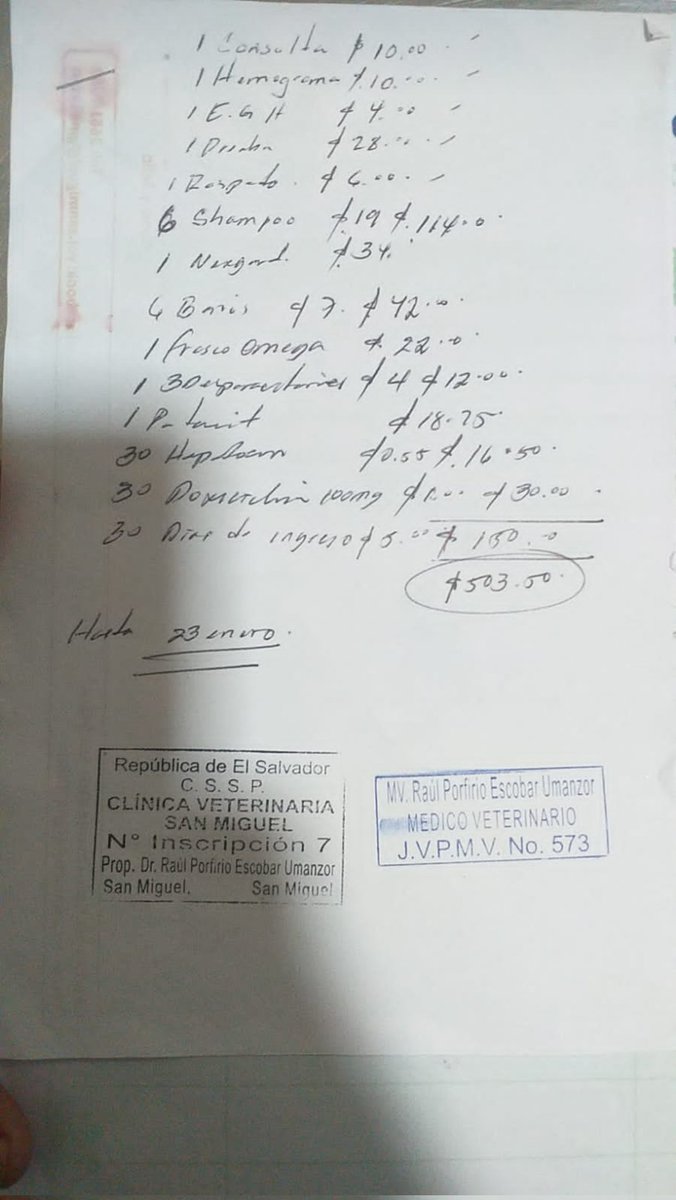 Buenos dias queridos hermanos, feliz año nuevo a todos. 
Esta perrita fue rescatada hace poco en San Miguel. Me comprometi a cubrir los gastos pero si alguien mas le gustaria donar le agradecería muchisimo . Cualquier cantidad es bienvenida.