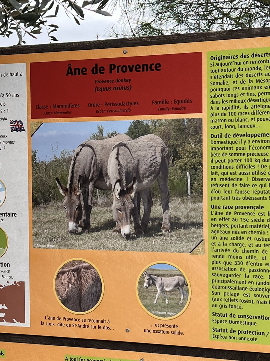 On s’est demandé pourquoi vous étiez deux sur la photo mais <a href="/fabrodu13/">Fabrolszewski</a> m’a dit que tu avais un Frère flic. <a href="/spqr13500/">Romain</a>