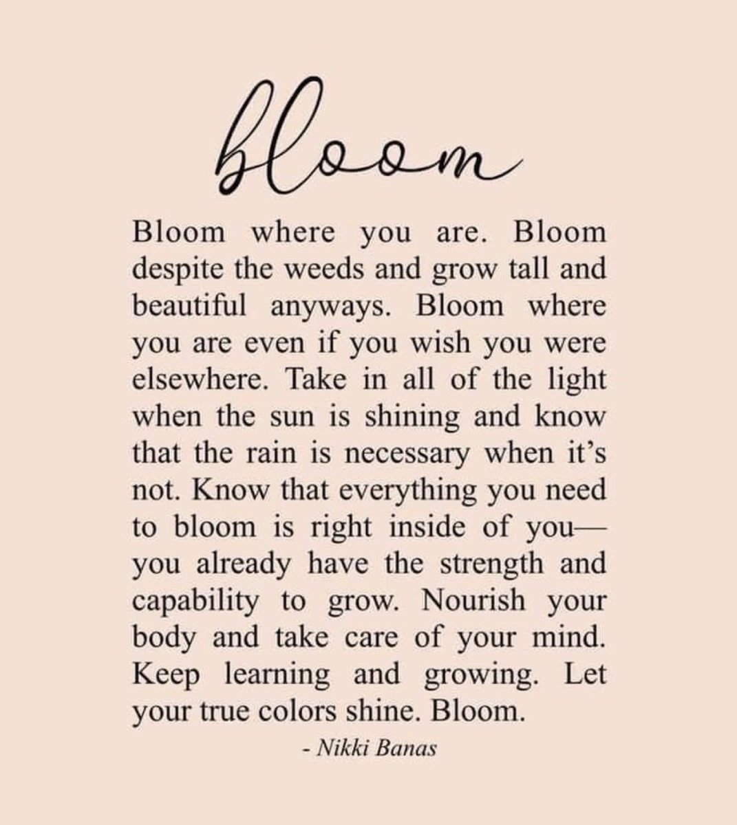 Katrina_K_buffs's tweet photo. 💐 🌸 2023 🌹 🌺 https://t.co/YVUhZ5A9ST