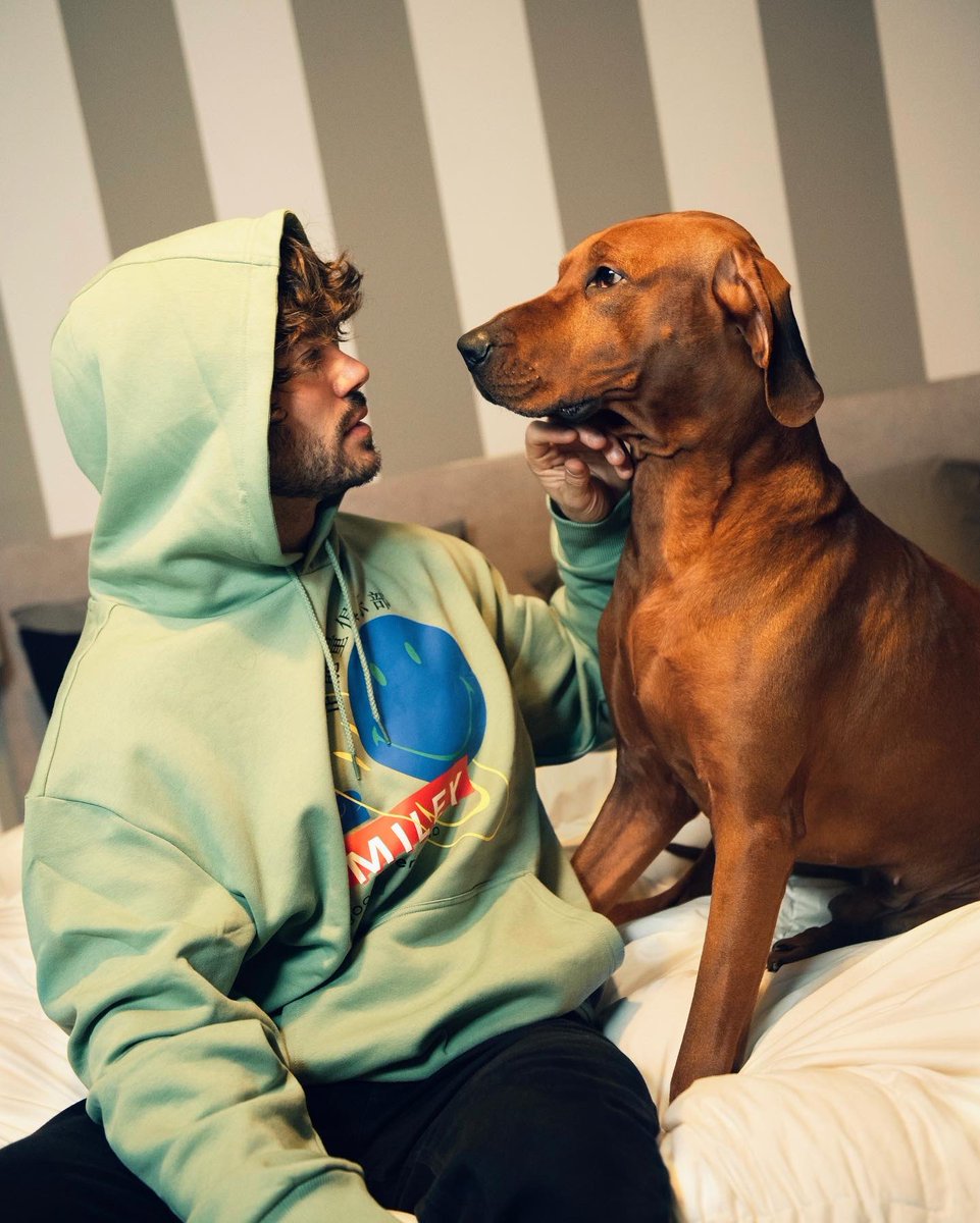 sona_claudio's tweet photo. Ditemi che il primo gennaio è concesso passare dal divano al letto e dal letto al divano 😅 https://t.co/UCHUXdxsdy