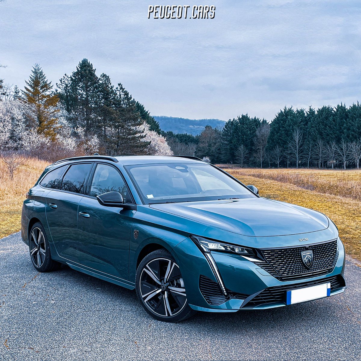 ❤️‍🔥 #peugeot308sw #peugeot308