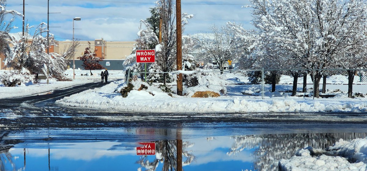 zannapics's tweet image. #wrongway