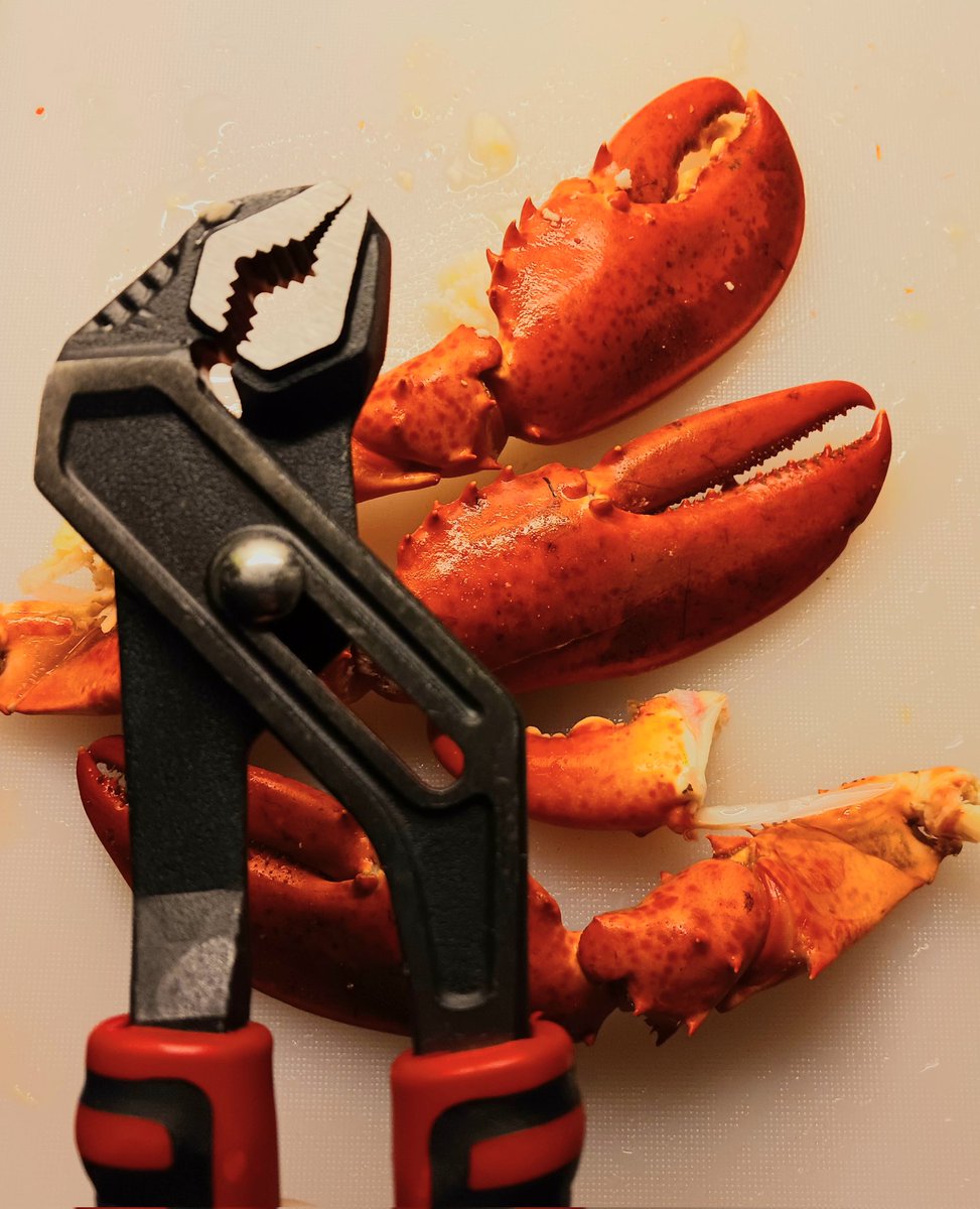 TheSwedishSaga's tweet photo. When your friend comes over to make you a New Years dinner and ask if you have a lobster shell cracking thingy and you'r like... Sure!
🤣 #Poligrip #FindSolutions #NewYears https://t.co/iwDyqWJ6YC