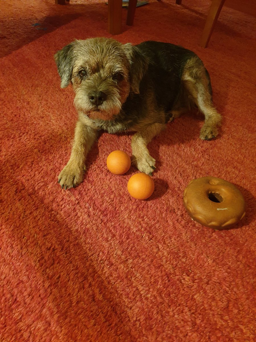 BTHenryHH1's tweet image. From Borley boy to Ermine. Honoured and delighted to have been recognised in the #BTPNYH list. Look forward to to lording it with Lady Flora. 😉 You can help @BTWelfare and buy my book here. Getbook.at/Henry