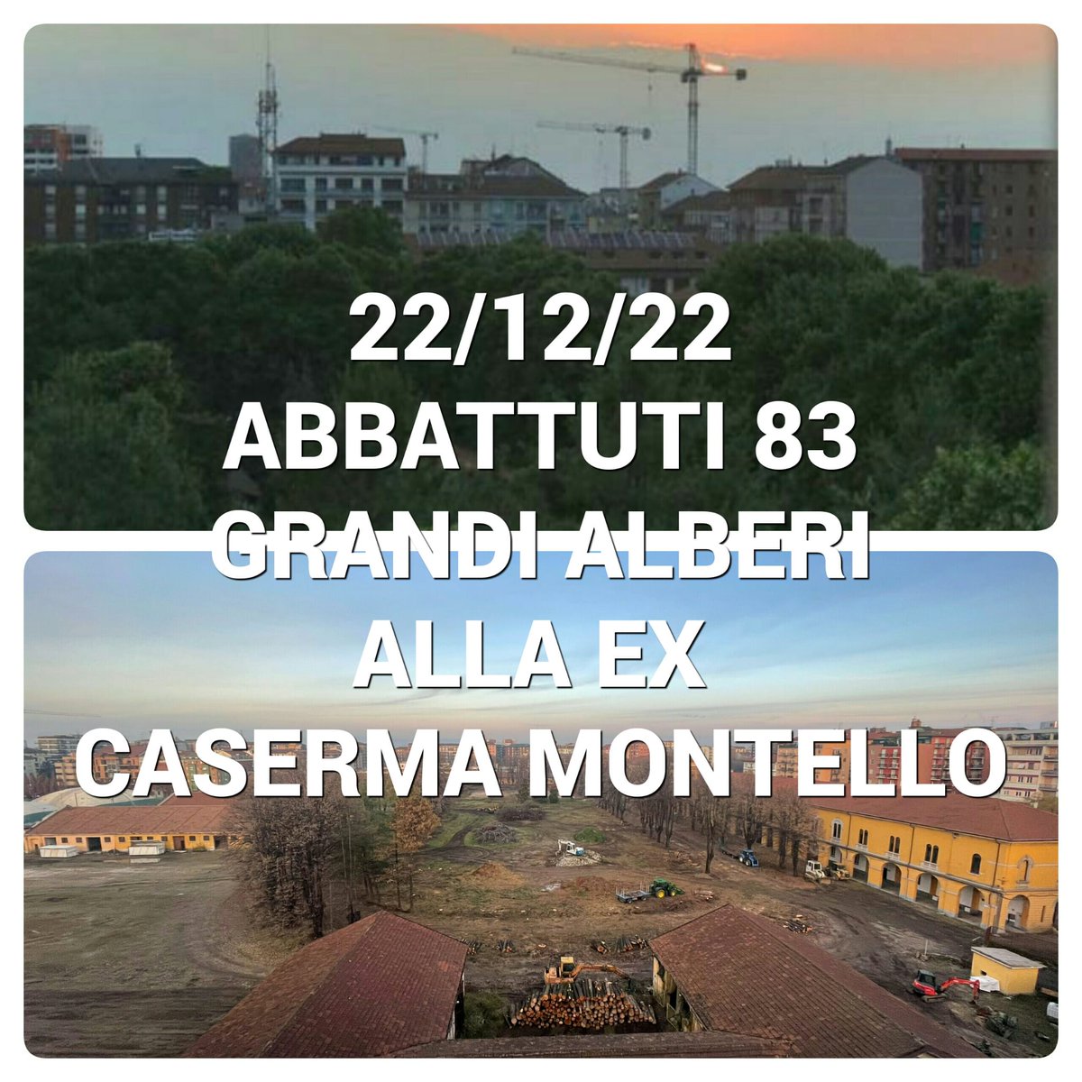22/12/22 in un sol giorno abbattuti 83 grandi alberi all'ex Caserma Montello. La rabbia dei cittadini esplosa sui social stimola il sindaco Sala a nominare i Garanti del Verde dopo quasi due anni di ritardo. Cambierà veramente qualcosa per il verde di Milano?