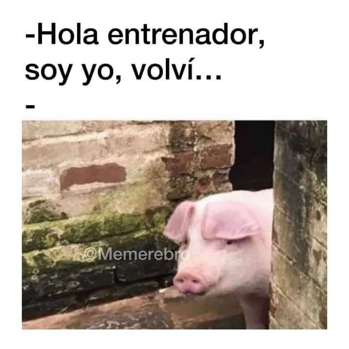 PyChamorro's tweet image. 