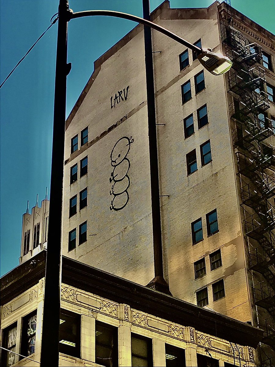 OreoXIV's tweet photo. Going to start posting my photos I take here #photograph   (Really like these hehe) https://t.co/1O1BHWeY02