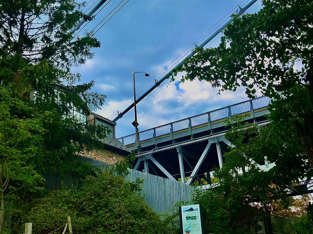 OreoXIV's tweet photo. Going to start posting my photos I take here #photograph   (Really like these hehe) https://t.co/1O1BHWeY02